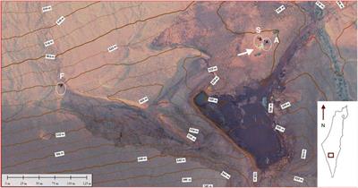 Temporal and Spatial Analysis of Forward and Backward Microbial Contamination in a Mars Analog Mission